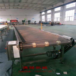 德隆工廠直銷(xiāo) 不銹鋼網(wǎng)帶傳送帶自動(dòng)化輸送設(shè)備，食品專(zhuān)用解決方案