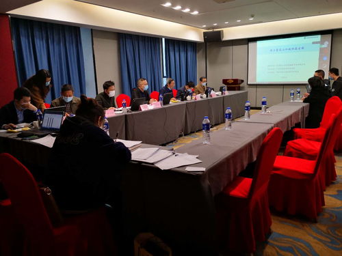 我院技術(shù)咨詢成果顯著 恒大童話山水城桐溪古鎮(zhèn)項(xiàng)目順利通過省綠專委評審